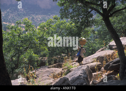 Ein Mann, der seinen Weg durch den Busch in der Nähe der Dogon Dorf Nombori, in Mali, Afrika. (MR) Stockfoto