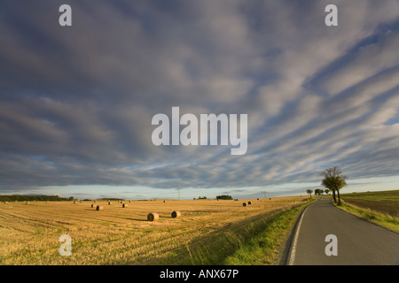 Landstraße neben Subble Fielt mit Stroh Kugeln, Deutschland, Sachsen, Vogtlaendische Schweiz Stockfoto