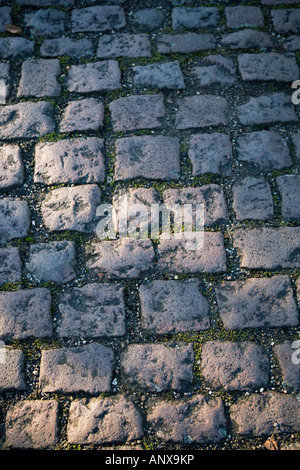 Im Alter von gepflasterten Weg mit gefleckten Licht Stockfoto