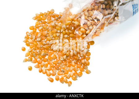 Popcorn Mais Popp pop unpopped Mais Mais Ausschnitt auf weißem Hintergrund Stockfoto
