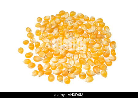 Popcorn Mais Popp pop unpopped Mais Mais Ausschnitt auf weißem Hintergrund Stockfoto