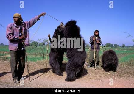 Asien, Indien, Agra. Lippenbären (Melursus Ursinus) tanzen für Touristen Stockfoto