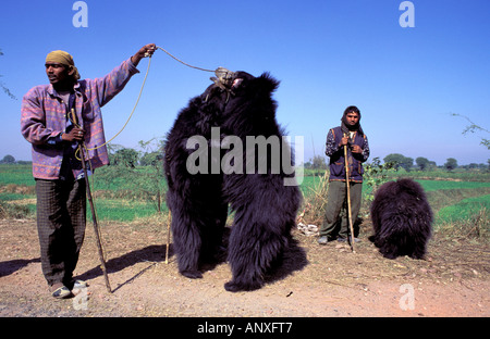 Asien, Indien, Agra. Lippenbären (Melursus Ursinus) tanzen für Touristen Stockfoto