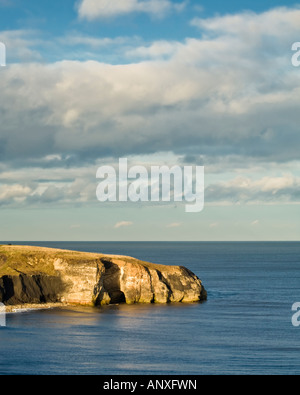 Kalkstein-Klippen in der Nähe der Nase Punkt in Seaham und Dawdon, County Durham Stockfoto