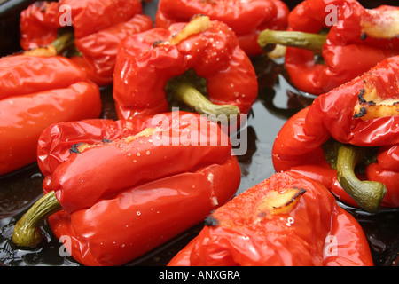 Geröstete Paprika Stockfoto