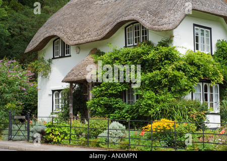 Bienenstock Cottage in Lyndhurst im New Forest Stockfoto