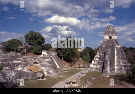 Tempel I oder Tempel der Großen Jaguar und dem Norden Akropolis an der Maya Ruinen von Tikal, El Peten, Guatemala Stockfoto