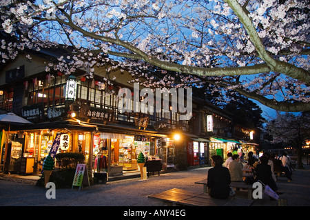 Japan, Insel Honshu, Präfektur Ishikawa, Kanazawa City. Kirschblüte im Kenrokuen Garten. Stockfoto