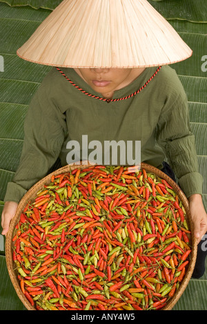 Thailand, Isan Region, Landwirt verkaufte Chilis (MR) Stockfoto