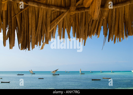 Ost-Afrika; Tansania; Zanzibar. Eine Dhau ist einem traditionellen arabischen Segelschiff mit einem oder mehreren latinischem Segel. Stockfoto