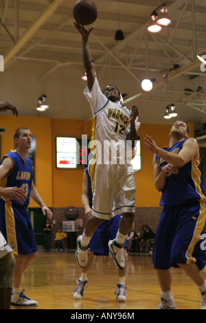 Wayne Landesuniversität Männer Basketball Stockfoto