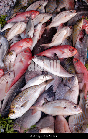 FRISCHER FISCH AM MARKTSTAND Stockfoto