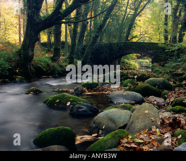 Buckland Bridge über den Fluss Webburn direkt stromaufwärts, von wo aus es den River Dart verbindet. In der Nähe von Buckland im Moor, Dartmoor National Park, Devon. Stockfoto