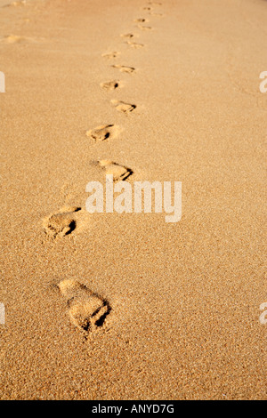 Schritt auf den Sand von Abraão Strand auf der schönen Insel Ilha Grande in der Nähe von Rio De Janeiro in Brasilien Stockfoto