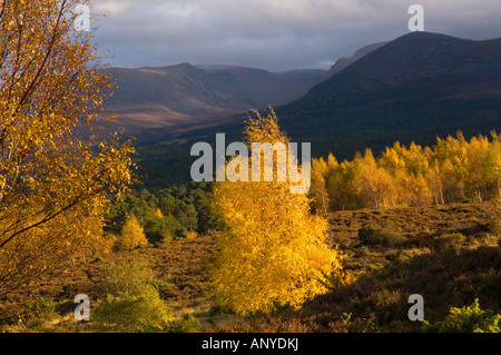 Lairig Ghru aus Tullochgrue Stockfoto