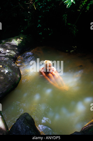 Sulphur Springs bei Trafalgar Wasserfälle, Morne Trois Pitons National Park, Dominica, Caribbean. Stockfoto
