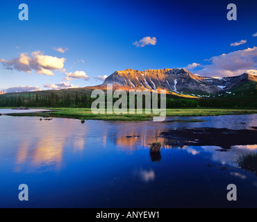 Sofa-Berg spiegelt sich in Biber Teich in Waterton Lakes National Park in Alberta, Kanada Stockfoto