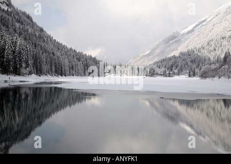 Symmetrischen Spiegelung in Bergsee von Schnee bedeckt Bäume am Ende des Sees Stockfoto