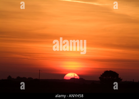 Sonnenaufgang mit Vögel Silhouette auf Telegraphendrähten in ländlichen Landschaft Stockfoto