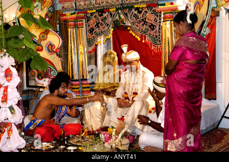 Traditionelle hinduistische Hochzeitszeremonie auf einer kunstvollen Bühne mit einem Priester, der heilige Rituale für die Braut und den Bräutigam Sri Lanka Ceylon vorführt. Stockfoto