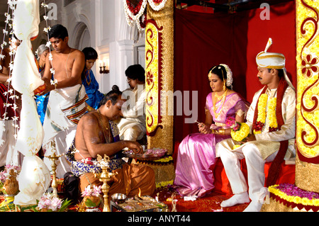 Traditionelle hinduistische Hochzeitszeremonie auf einer kunstvollen Bühne mit einem Priester, der heilige Rituale für die Braut und den Bräutigam Sri Lanka Ceylon vorführt. Stockfoto