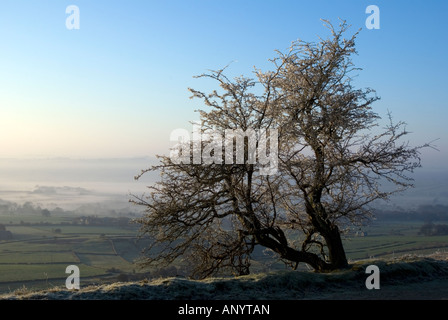 kalten Wintern Morgen auf Longstone derbyshire Stockfoto