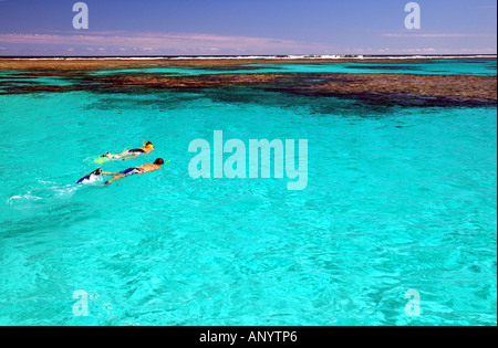 Paar Schnorcheln im kristallklaren Wasser der Lagune des Ningaloo Reef Western Australien Nr. MR Stockfoto