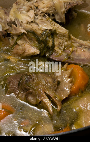 Eine Henne Kopf aus den gekochten Huhn auf Lager (Frankreich). Tête de Volaille Émergeant du Bouillon d ' une Poule au Pot (Frankreich) Stockfoto