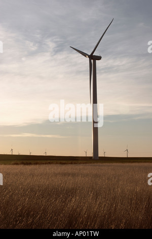 Riesige Windräder im Windpark Mühle in Texas Stockfoto