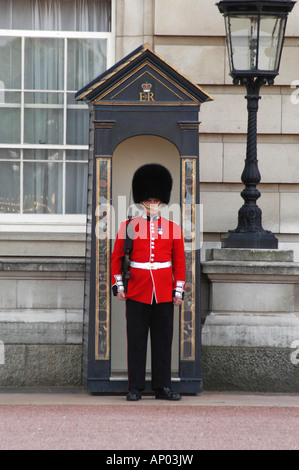 Grenadier-Garde mit Bärenfell Helm am Buckingham Palace London England 31 10 2002 Stockfoto