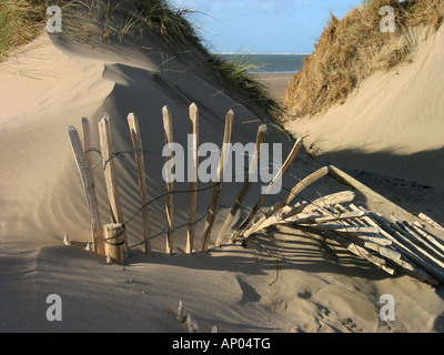 Sanddünen mit Zaun Stockfoto