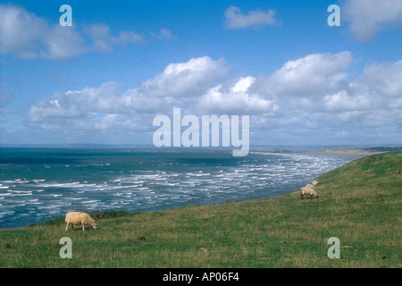 Rhossili Bucht auf der Halbinsel Gower West Glamorgan Swansea Wales UK Stockfoto