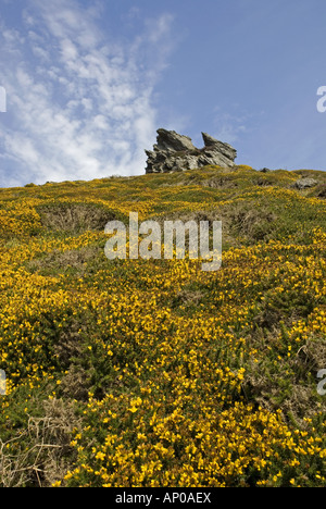 Süd West Küstenweg in der Nähe von Schraubenkopf, South Devon Stockfoto