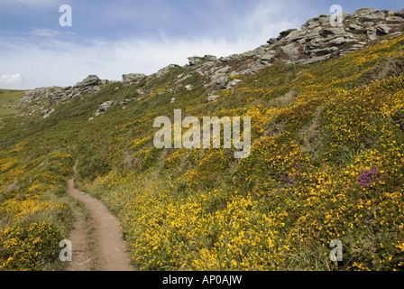 Süd West Küstenweg in der Nähe von Schraubenkopf, South Devon Stockfoto