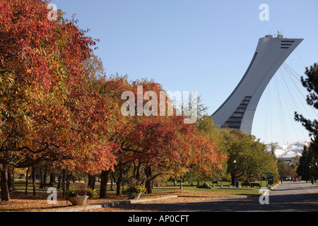 Olympiaturm und Herbst Bäume im Botanischen Garten. Montreal, Quebec, Kanada Stockfoto