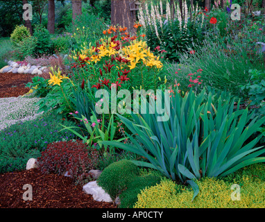 Vashon Island WA blühenden Sommergarten unter anderem Iris Lilien Verbascum Lavendel und eine Vielzahl von Boden-decken Stockfoto