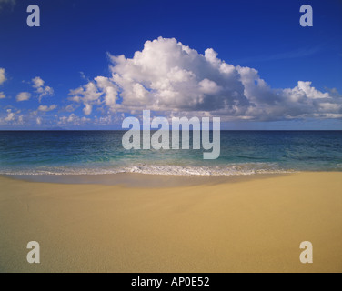 Flauschige weiße Wolken schweben auf einem blauen Himmel über der Karibik Gewässer am Strand Cupecoy Bay St Maarten Stockfoto