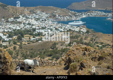 Europa, Griechenland, Dodekanes, Patmos: Hafen von Hora mit Pferden im Vordergrund Stockfoto