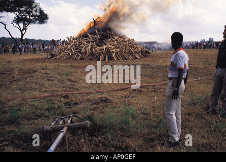 Elfenbein Lagerfeuer 18. Juli 1989 Nairobi Nationalpark Kenia in Ostafrika Stockfoto