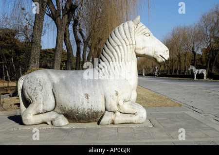 Stein-Pferd auf Heilige Art und Weise der Ming Gräber Shisanling in Peking, China. 16. Januar 2008 Stockfoto
