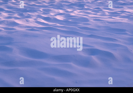 Spuren von Newfallen Schnee bedeckt Stockfoto