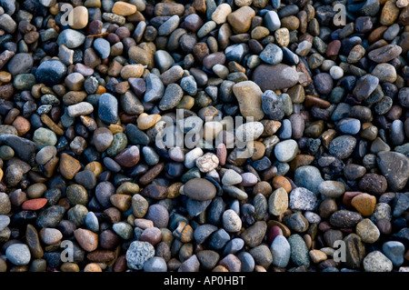 Gut abgerundeten Kieselsteinen am Ufer des Puget Sound in Tacoma, Washington, Vereinigte Staaten Stockfoto