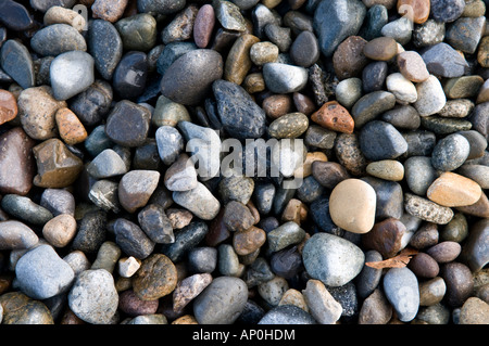 Gut abgerundeten Kieselsteinen am Ufer des Puget Sound in Tacoma, Washington, Vereinigte Staaten Stockfoto