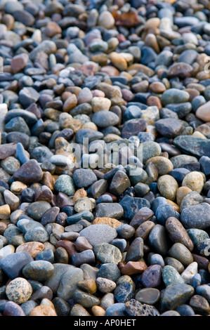 Gut abgerundeten Kieselsteinen am Ufer des Puget Sound in Tacoma, Washington, Vereinigte Staaten Stockfoto