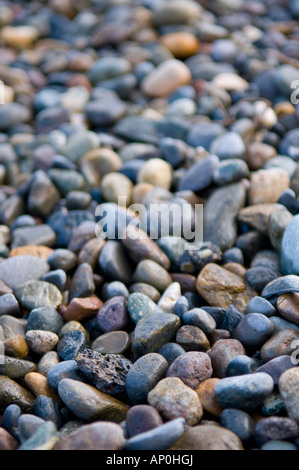 Gut abgerundeten Kieselsteinen am Ufer des Puget Sound in Tacoma, Washington, Vereinigte Staaten Stockfoto