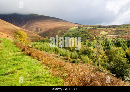 Ein Weg durch die Bracken auf Skiddaw auf eine knackige Herbsttag in in der Lake District National Park, UK Stockfoto