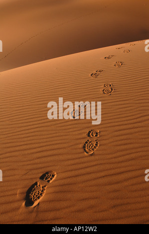 Spuren in den Sanddünen des Erg Chebbi in der Sahara-Wüste in der Nähe von Merzouga, Marokko. Stockfoto
