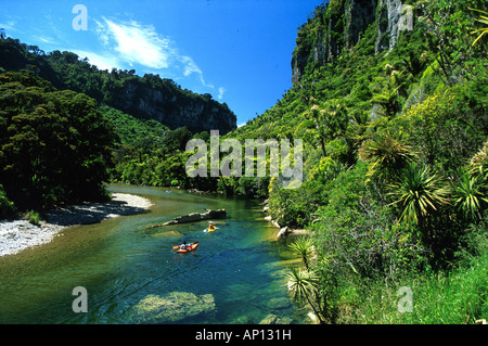 Kajaks am Pororari Fluss, Paparoa-Nationalpark, Südinsel, Neuseeland Stockfoto