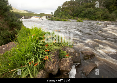 Aasleagh fällt am Erriff River in der Nähe von Leenane Leenaun Connemara County Mayo Republik Irland Stockfoto