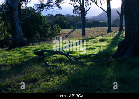 Clarence Town, NSW Australien Stockfoto